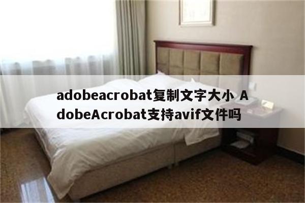 adobeacrobat复制文字大小 AdobeAcrobat支持avif文件吗
