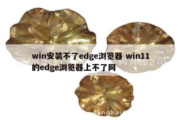 win安装不了edge浏览器 win11的edge浏览器上不了网
