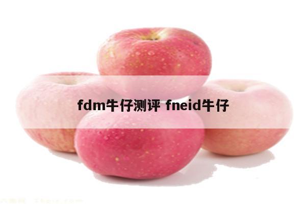 fdm牛仔测评 fneid牛仔