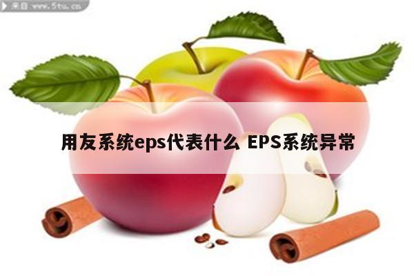 用友系统eps代表什么 EPS系统异常