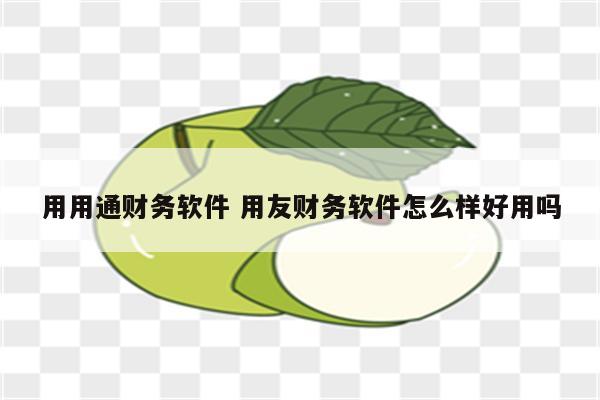 用用通财务软件 用友财务软件怎么样好用吗