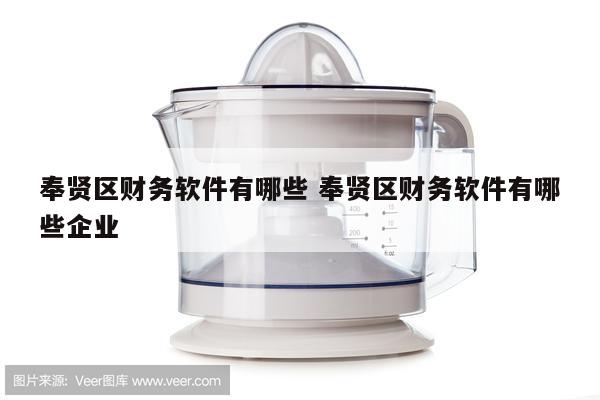 奉贤区财务软件有哪些 奉贤区财务软件有哪些企业