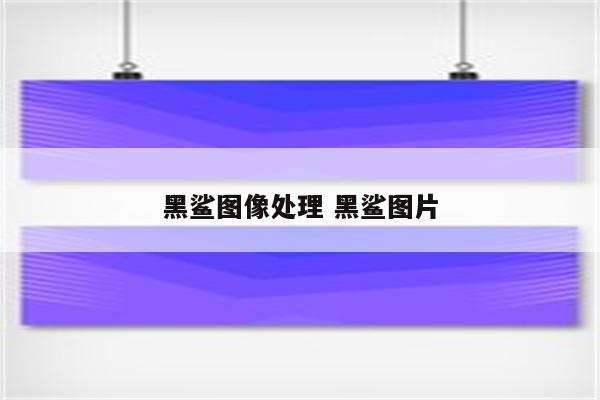 黑鲨图像处理 黑鲨图片