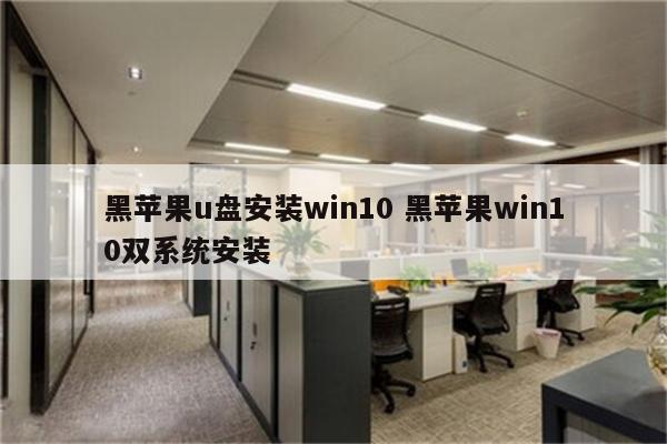 黑苹果u盘安装win10 黑苹果win10双系统安装