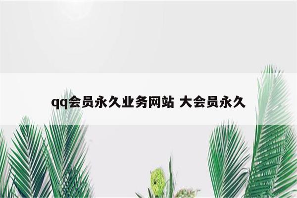qq会员永久业务网站 大会员永久