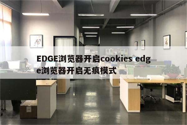 EDGE浏览器开启cookies edge浏览器开启无痕模式