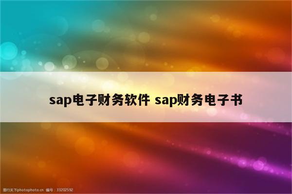 sap电子财务软件 sap财务电子书