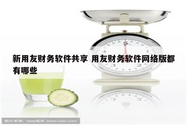 新用友财务软件共享 用友财务软件网络版都有哪些