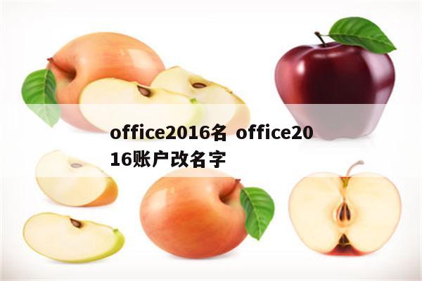 office2016名 office2016账户改名字