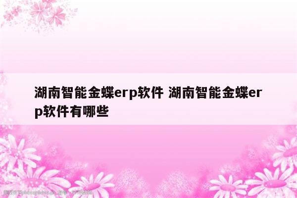 湖南智能金蝶erp软件 湖南智能金蝶erp软件有哪些