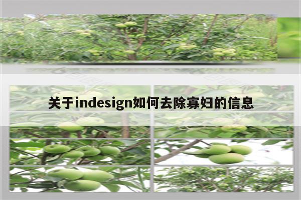 关于indesign如何去除寡妇的信息