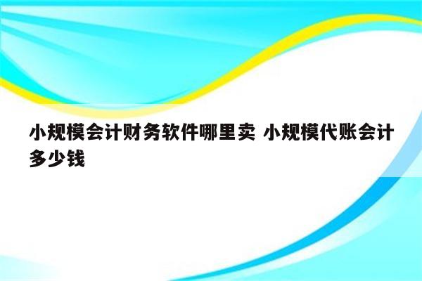 小规模会计财务软件哪里卖 小规模代账会计多少钱
