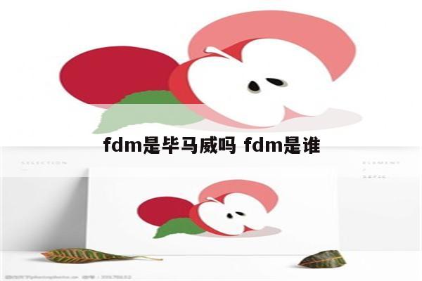 fdm是毕马威吗 fdm是谁