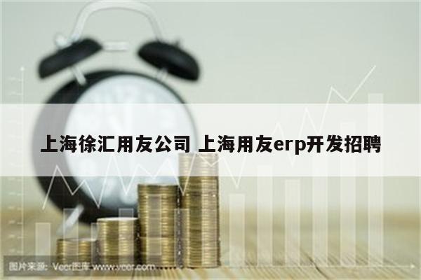 上海徐汇用友公司 上海用友erp开发招聘