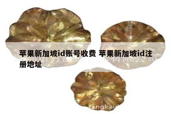 苹果新加坡id账号收费 苹果新加坡id注册地址