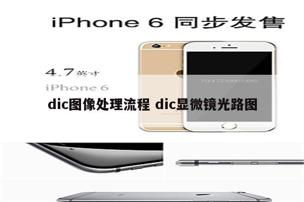 dic图像处理流程 dic显微镜光路图