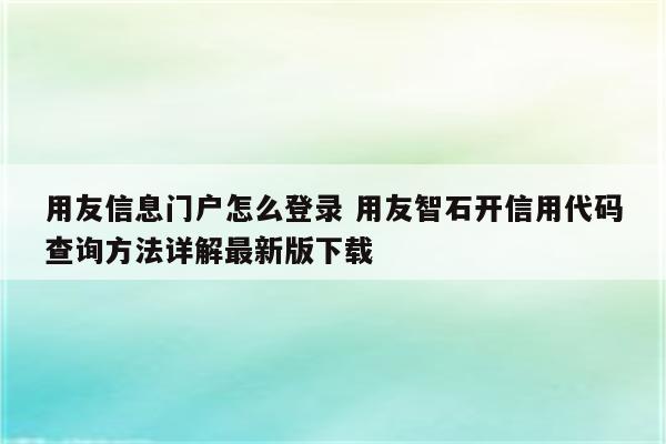 用友信息门户怎么登录 用友智石开信用代码查询方法详解最新版下载