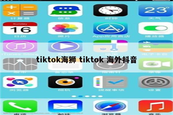 tiktok海狮 tiktok 海外抖音
