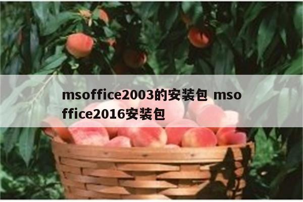 msoffice2003的安装包 msoffice2016安装包