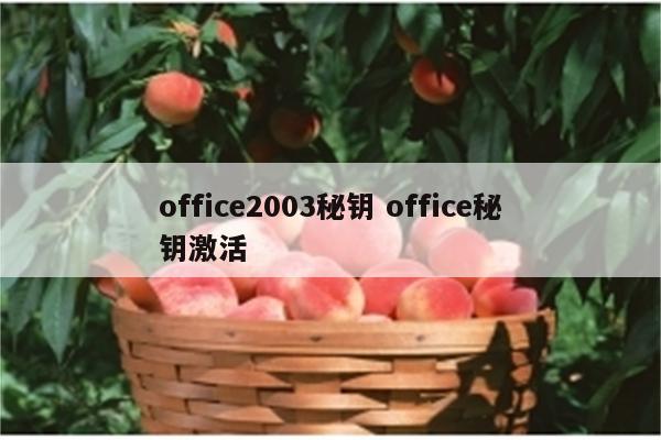 office2003秘钥 office秘钥激活