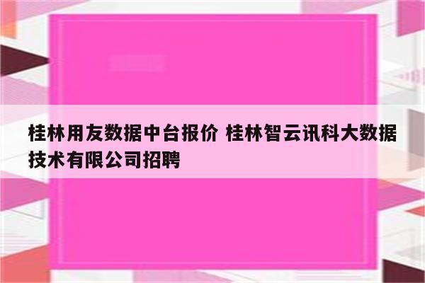 桂林用友数据中台报价 桂林智云讯科大数据技术有限公司招聘
