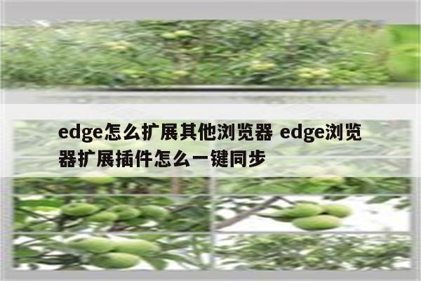 edge怎么扩展其他浏览器 edge浏览器扩展插件怎么一键同步