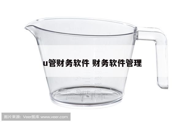 u管财务软件 财务软件管理