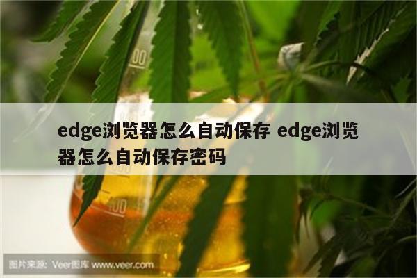 edge浏览器怎么自动保存 edge浏览器怎么自动保存密码