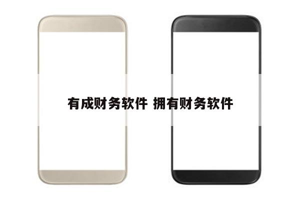 有成财务软件 拥有财务软件