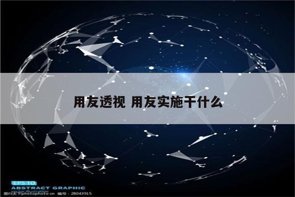 用友透视 用友实施干什么