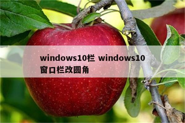windows10栏 windows10窗口栏改圆角