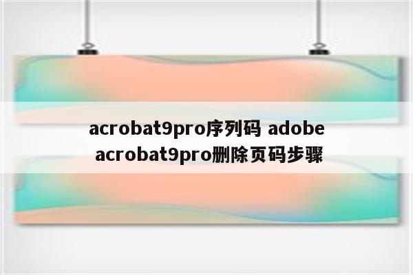 acrobat9pro序列码 adobe acrobat9pro删除页码步骤