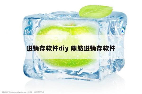 进销存软件diy 鼎悠进销存软件