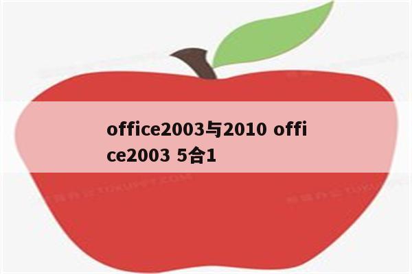 office2003与2010 office2003 5合1
