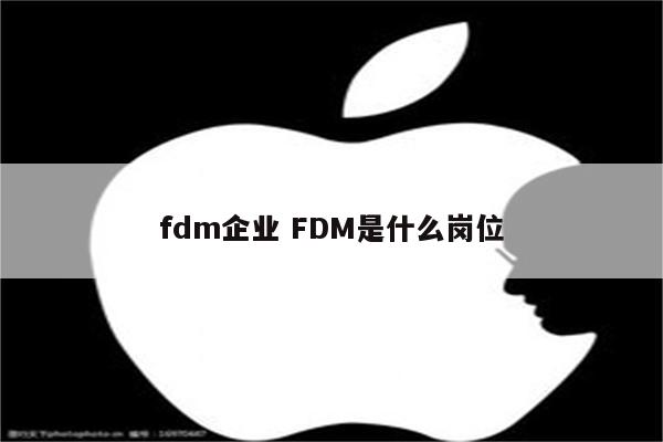 fdm企业 FDM是什么岗位
