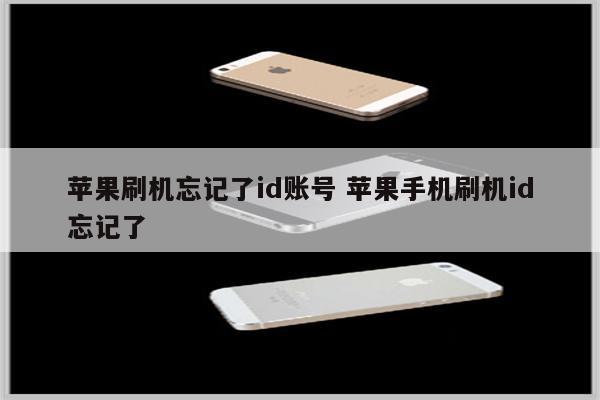 苹果刷机忘记了id账号 苹果手机刷机id忘记了