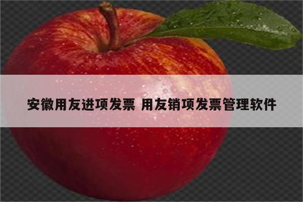 安徽用友进项发票 用友销项发票管理软件