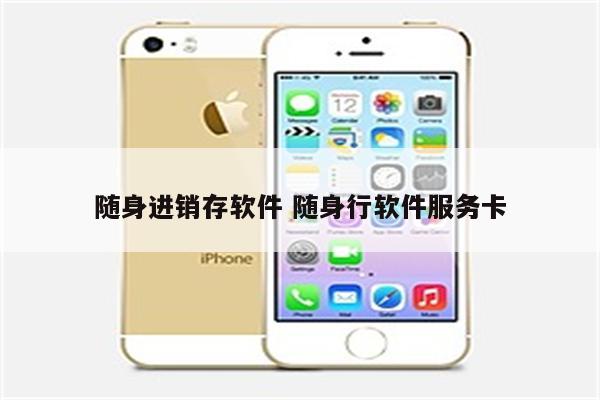 随身进销存软件 随身行软件服务卡