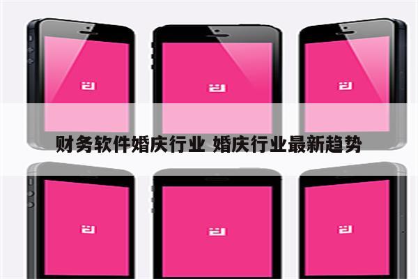 财务软件婚庆行业 婚庆行业最新趋势