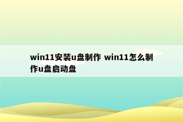 win11安装u盘制作 win11怎么制作u盘启动盘