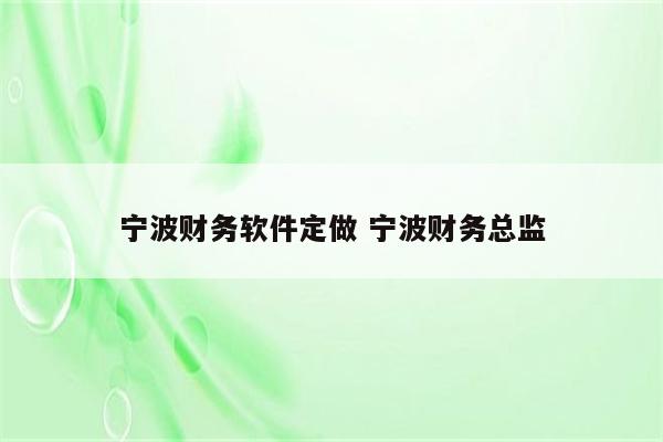 宁波财务软件定做 宁波财务总监