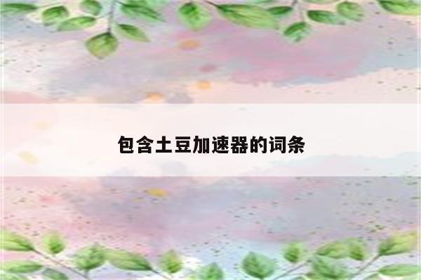 包含土豆加速器的词条