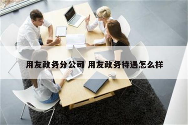 用友政务分公司 用友政务待遇怎么样