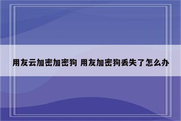 用友云加密加密狗 用友加密狗丢失了怎么办