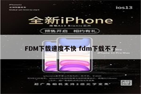 FDM下载速度不快 fdm下载不了