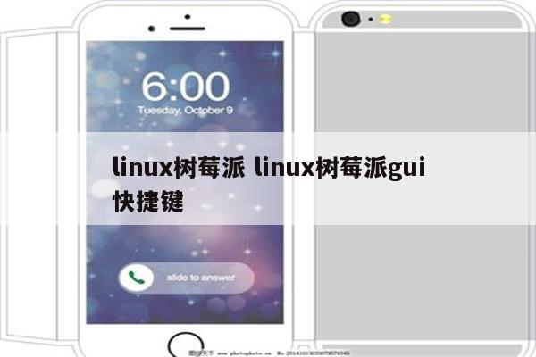 linux树莓派 linux树莓派gui快捷键