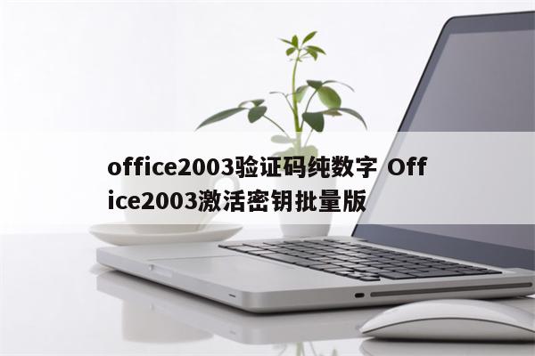 office2003验证码纯数字 Office2003激活密钥批量版