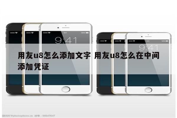 用友u8怎么添加文字 用友u8怎么在中间添加凭证