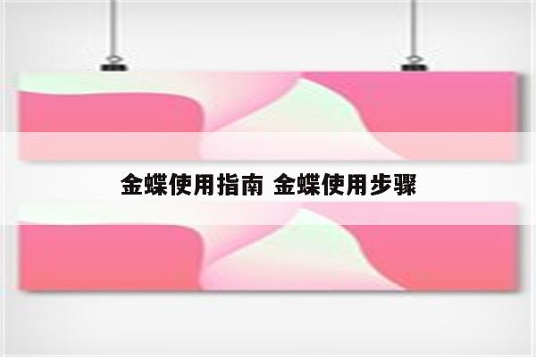 金蝶使用指南 金蝶使用步骤