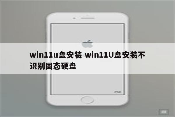win11u盘安装 win11U盘安装不识别固态硬盘